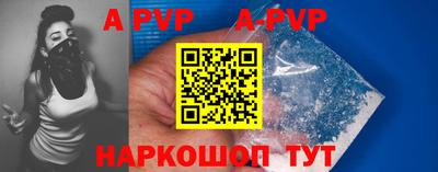 стафф Камышлов