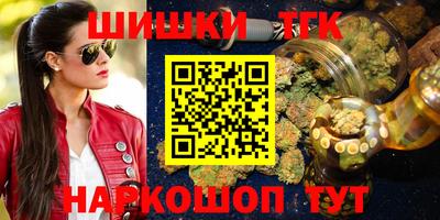 стафф Камышлов